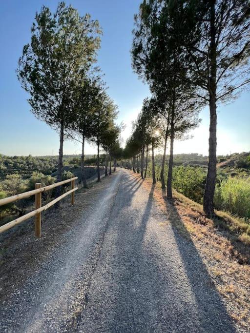 Apto. Rural Cielo. Al Lado Torre Jérica Εξωτερικό φωτογραφία